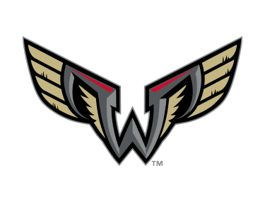 Rochester Knighthawks Vs. Philadelphia Wings list image